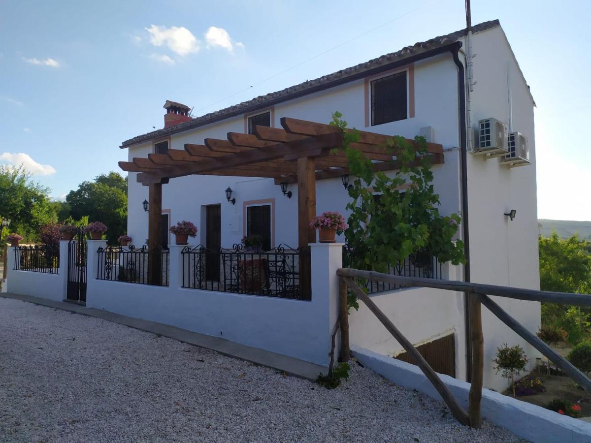 Hostal La Casa De La Abuela Setenil De Las Bodegas Exterior foto